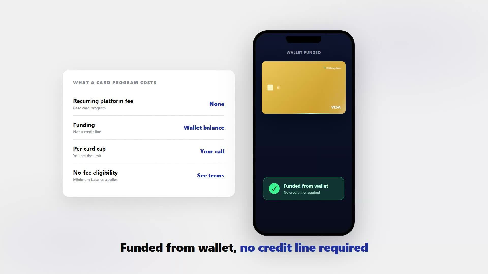 Cost breakdown of a wallet-funded virtual card program for business.